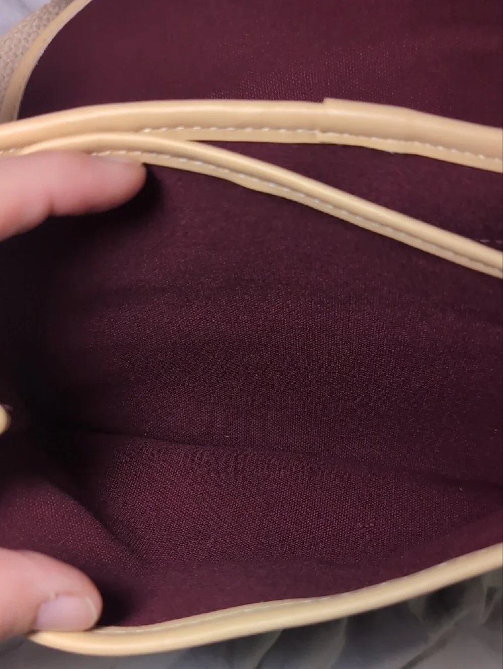 Aigner Plum Crossbody with Cream Trim and Canvas Strap